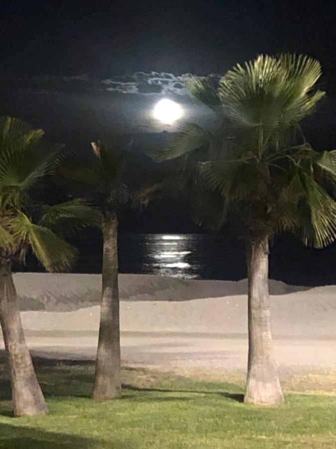 Vistamar Lejlighed Torre Del Mar Eksteriør billede